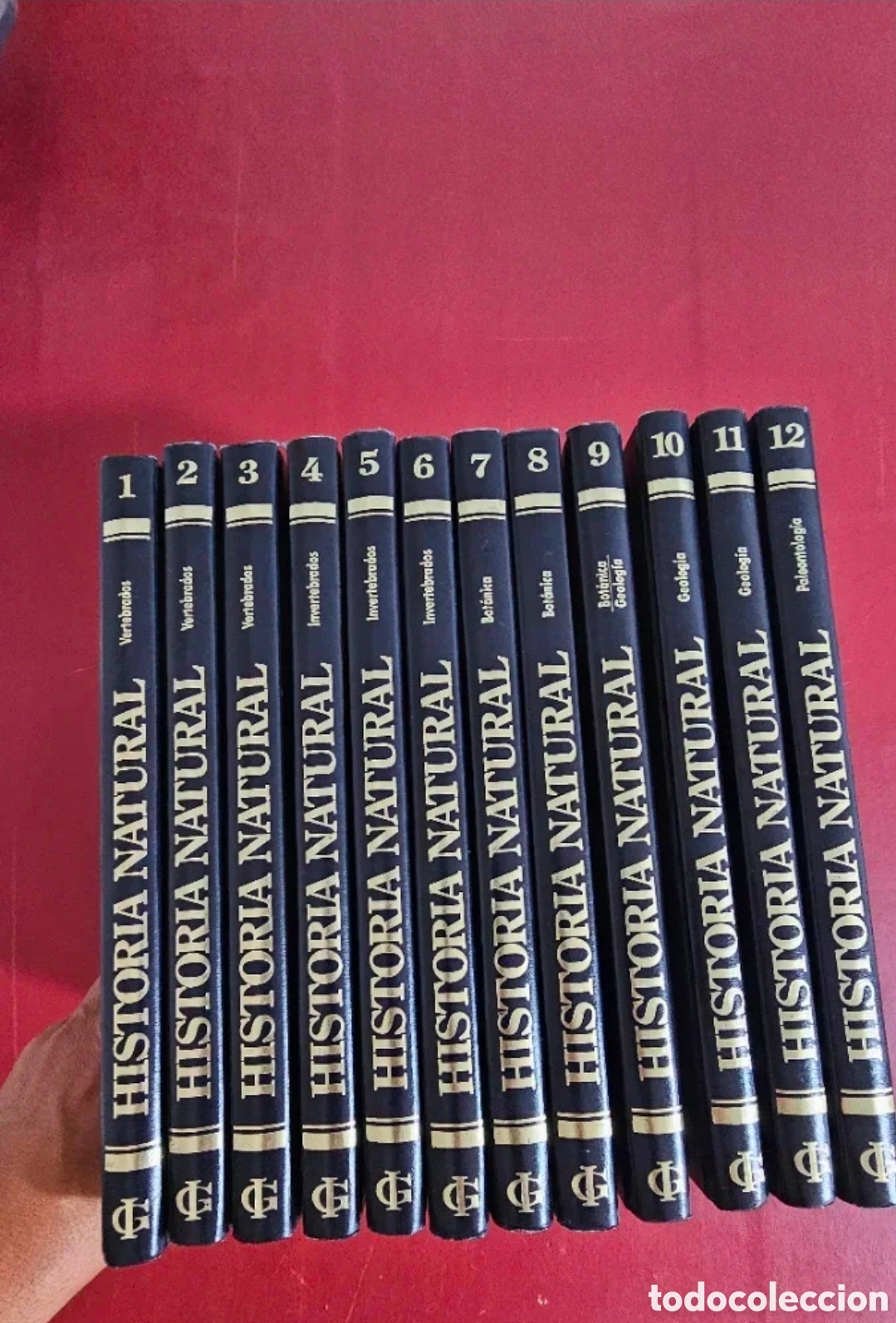 Enciclopedias de segunda mano: Enciclopedia Historia Natural 12 Tomos COMPLETA