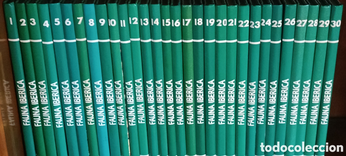 Enciclopedias de segunda mano: ENCICLOPEDIA FAUNA IBERICA