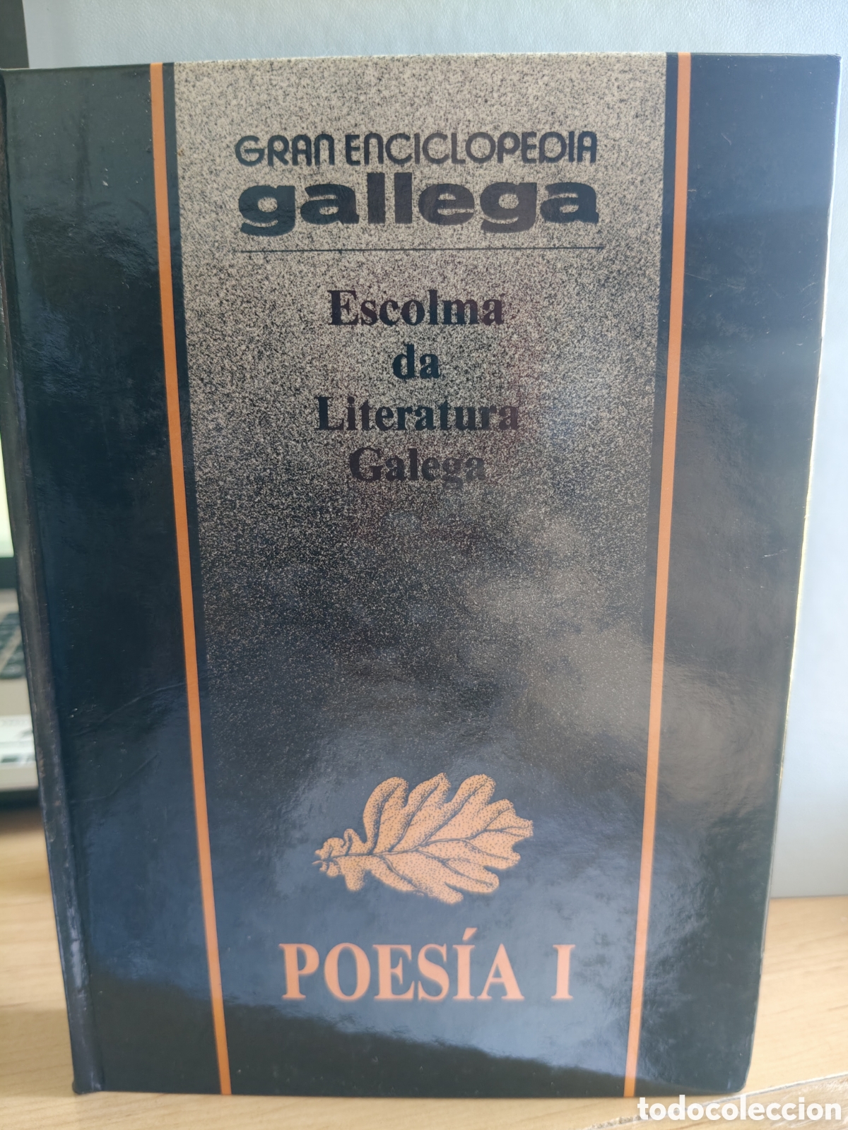 Enciclopedias de segunda mano: Gran enciclopedia gallega