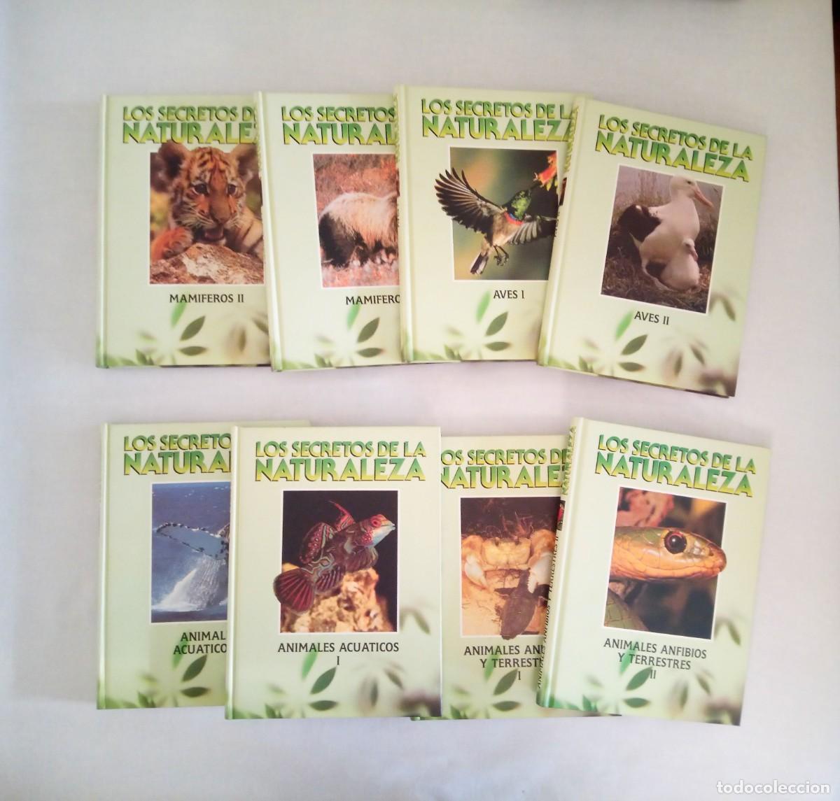 Enciclopedias de segunda mano: LOS SECRETOS DE LA NATURALEZA - ENCICLOPEDIA 8 TOMOS - CLUB INTERNACIONAL DEL LIBRO - A&Ntilde;O 1996