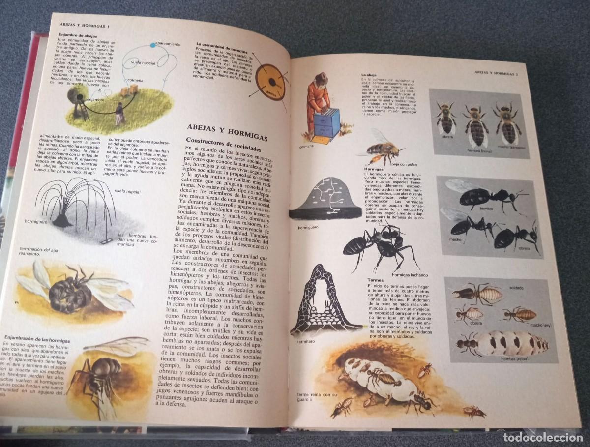 Enciclopedias de segunda mano: Enciclopedia Tematica Combi - Foto 8