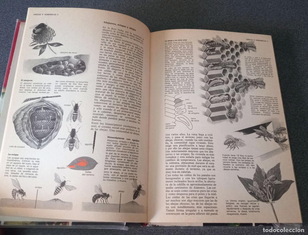 Enciclopedias de segunda mano: Enciclopedia Tematica Combi - Foto 9