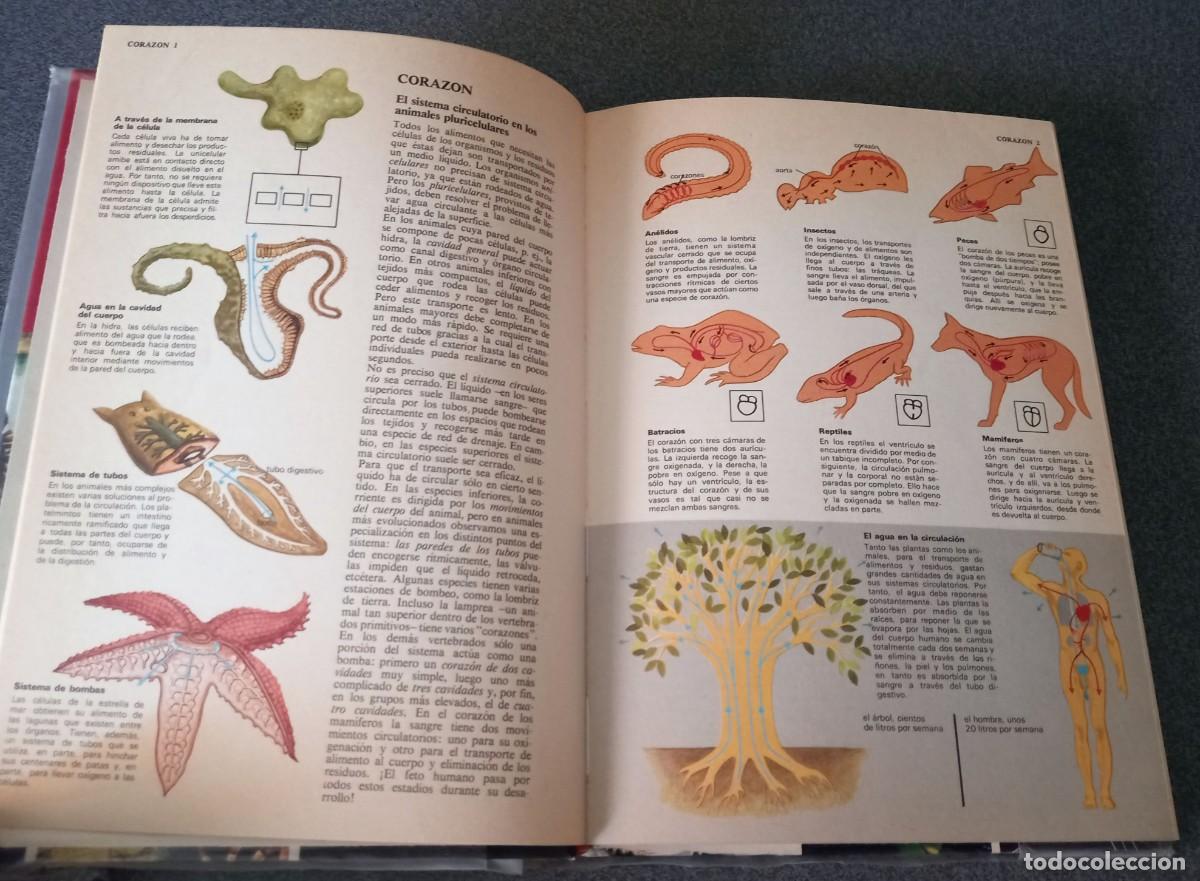 Enciclopedias de segunda mano: Enciclopedia Tematica Combi - Foto 12