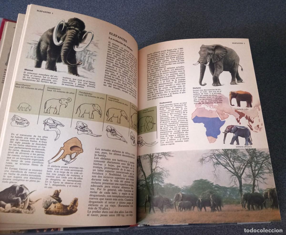 Enciclopedias de segunda mano: Enciclopedia Tematica Combi - Foto 14