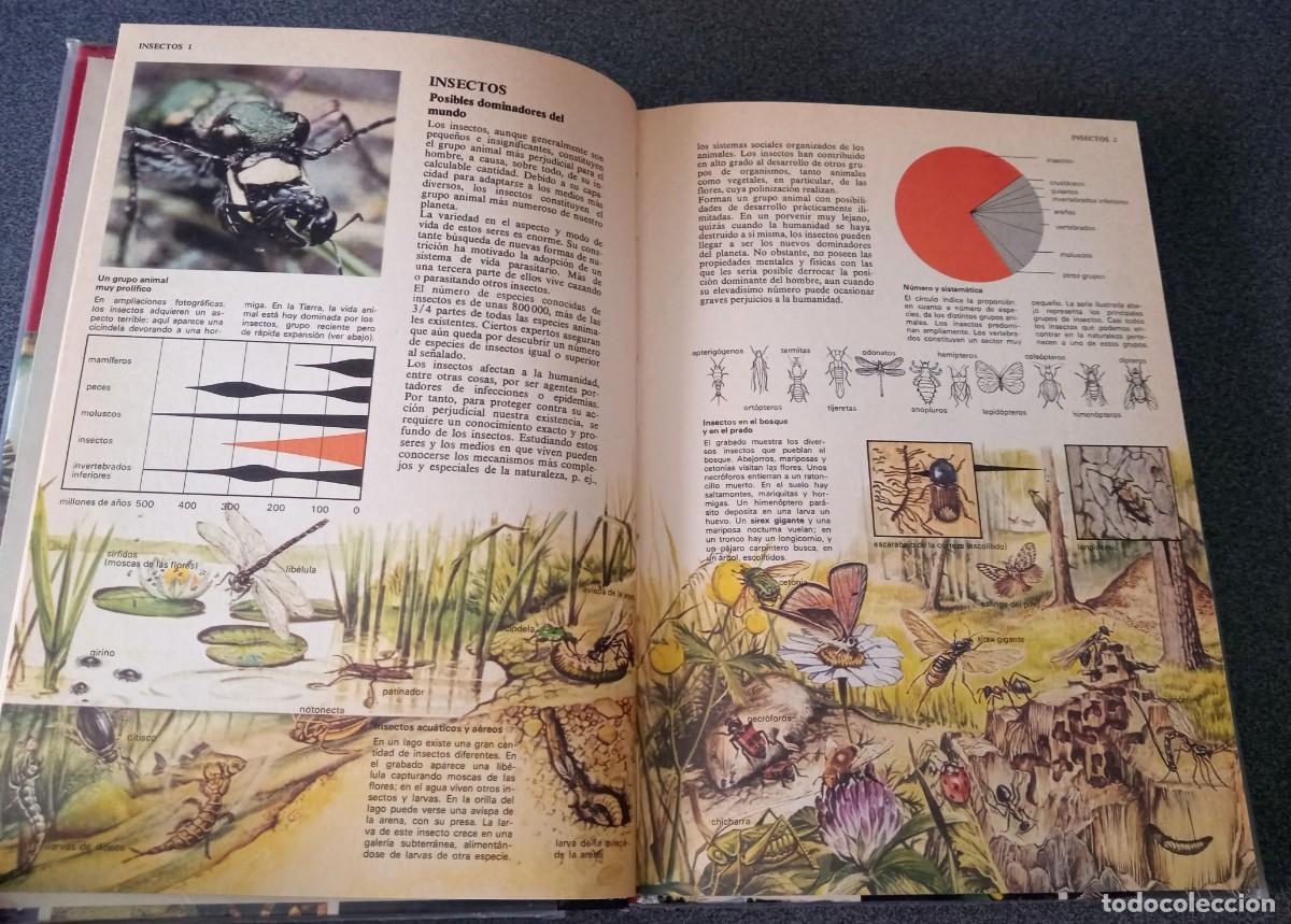 Enciclopedias de segunda mano: Enciclopedia Tematica Combi - Foto 17