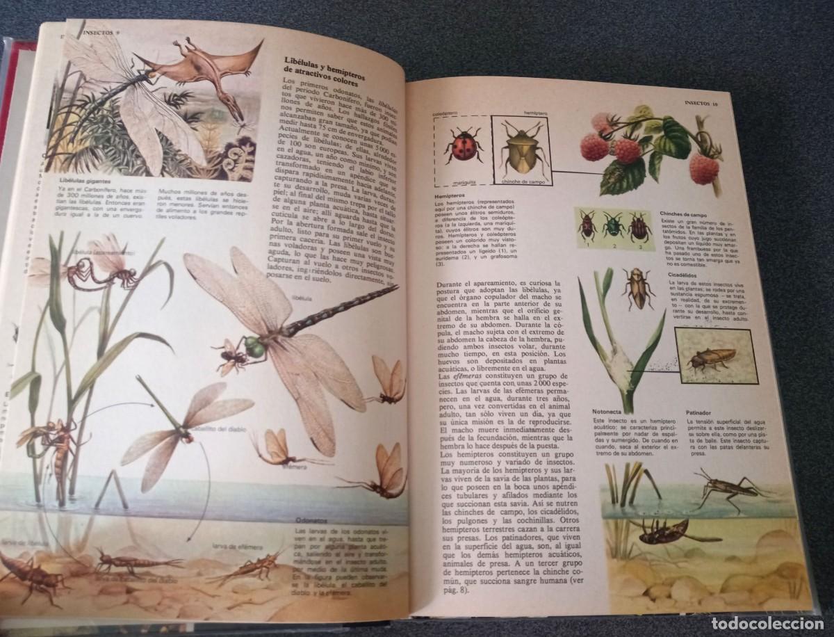 Enciclopedias de segunda mano: Enciclopedia Tematica Combi - Foto 18