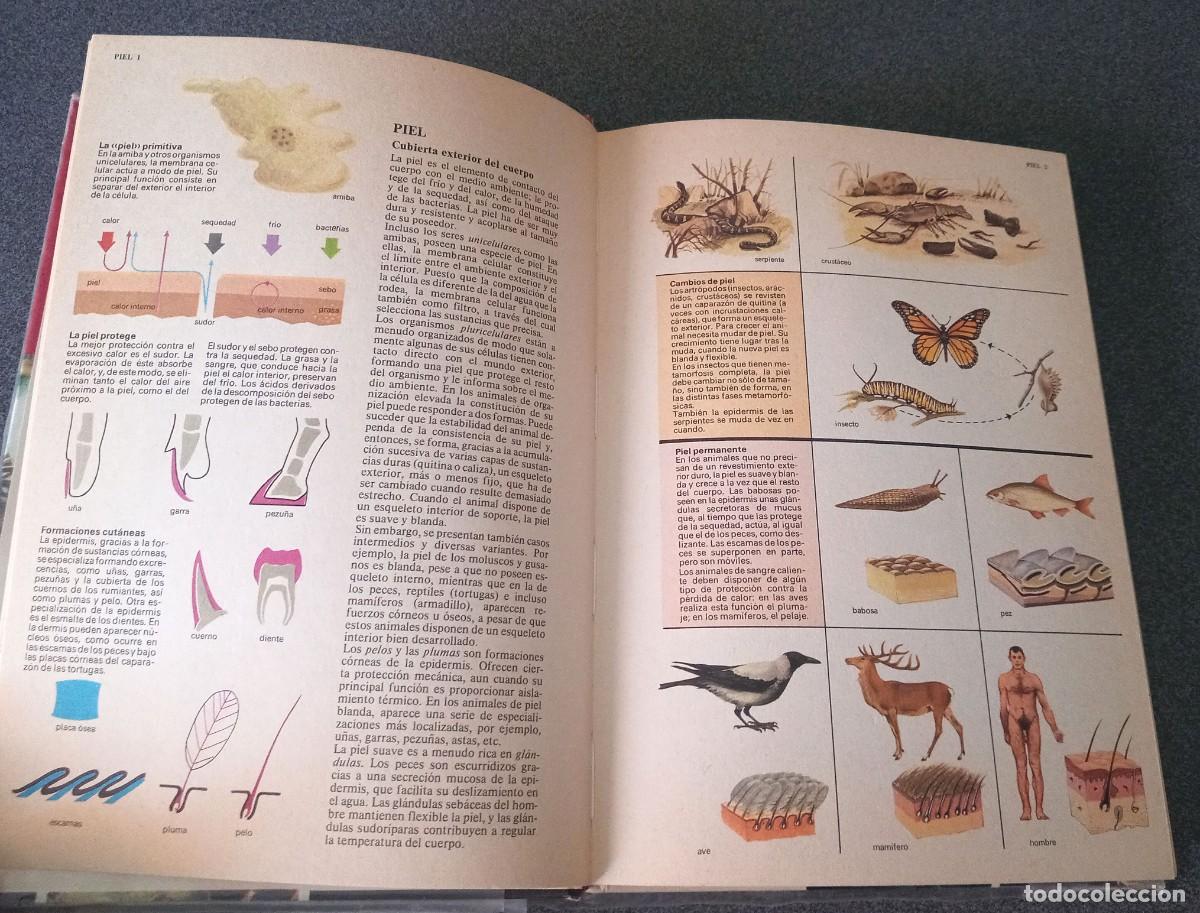 Enciclopedias de segunda mano: Enciclopedia Tematica Combi - Foto 22