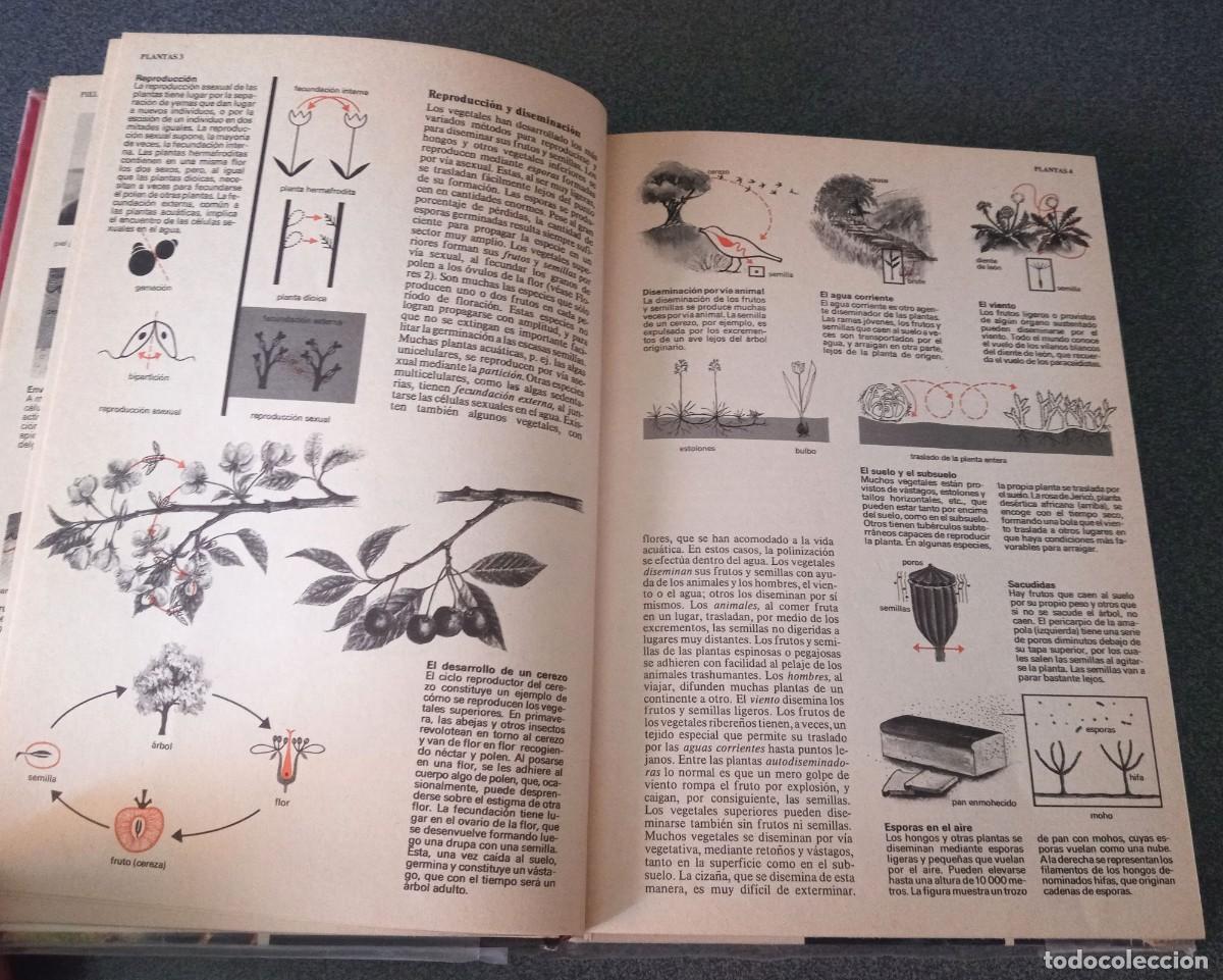 Enciclopedias de segunda mano: Enciclopedia Tematica Combi - Foto 23
