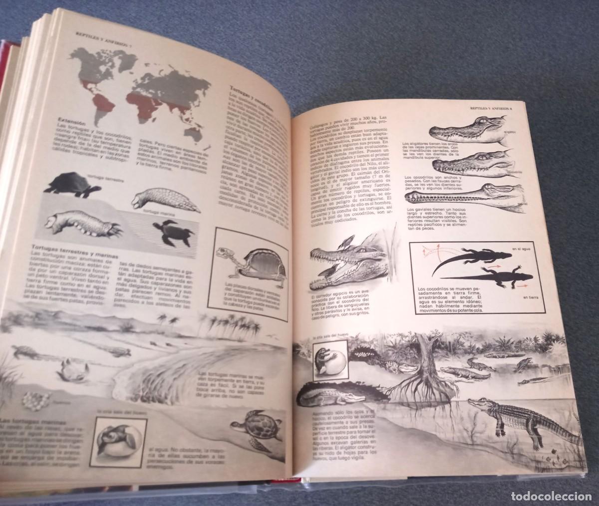 Enciclopedias de segunda mano: Enciclopedia Tematica Combi - Foto 26