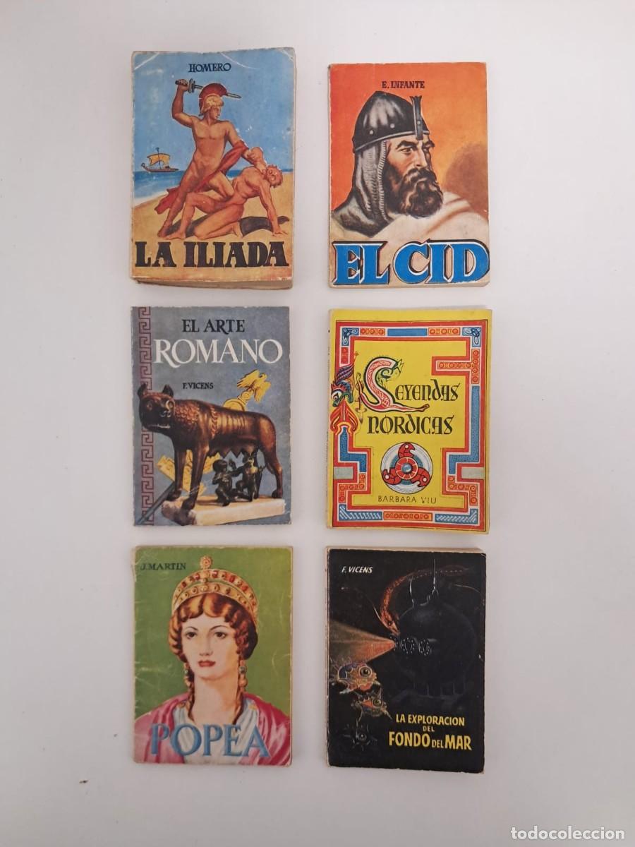 Enciclopedias de segunda mano: Lote 6 libros Enciclopedia Pulga - Ediciones G.P.