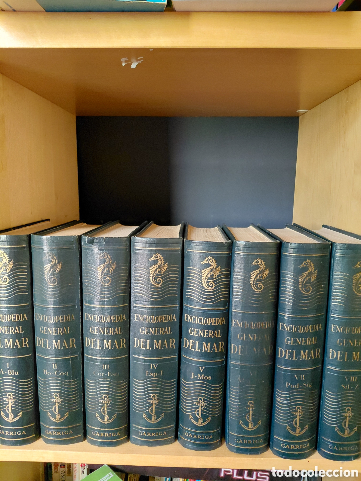 Livros em segunda m&atilde;o: Enciclopedia General del Mar segunda edici&oacute;n revisada y ampliada Garriga