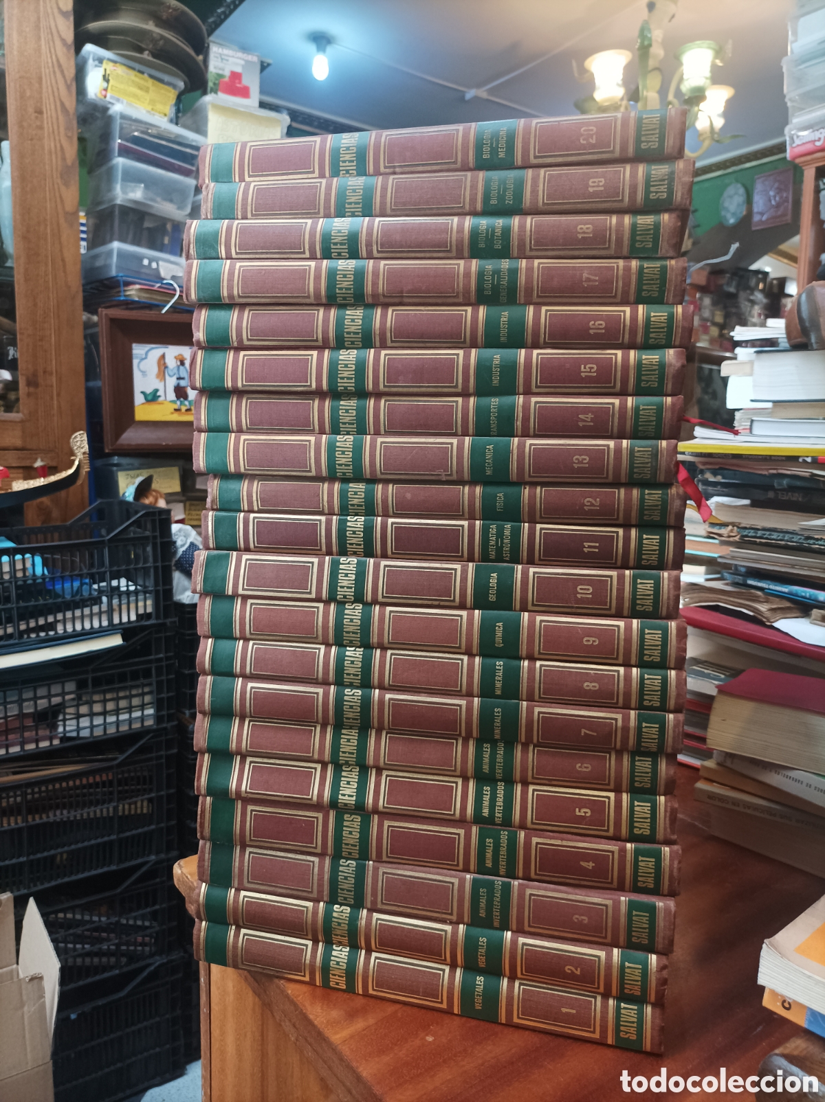 Enciclopedias de segunda mano: ENCICLOPEDIA SALVAT DE LAS CIENCIAS.1968