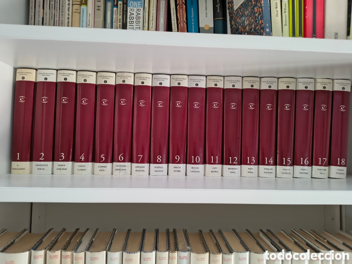 Enciclopedias de segunda mano: Enciclopedia Universal Espasa, 18 tomos, El Mundo
