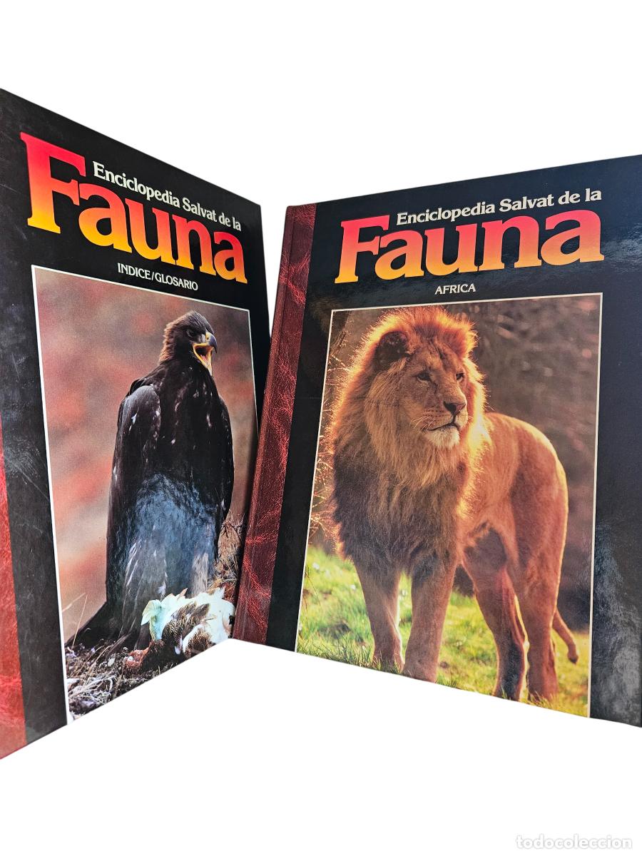 Enciclopedias de segunda mano: Enciclopedia Salvat de la Fauna completa &ndash; 31 tomos &ndash; F&eacute;lix Rodr&iacute;guez de la Fuente