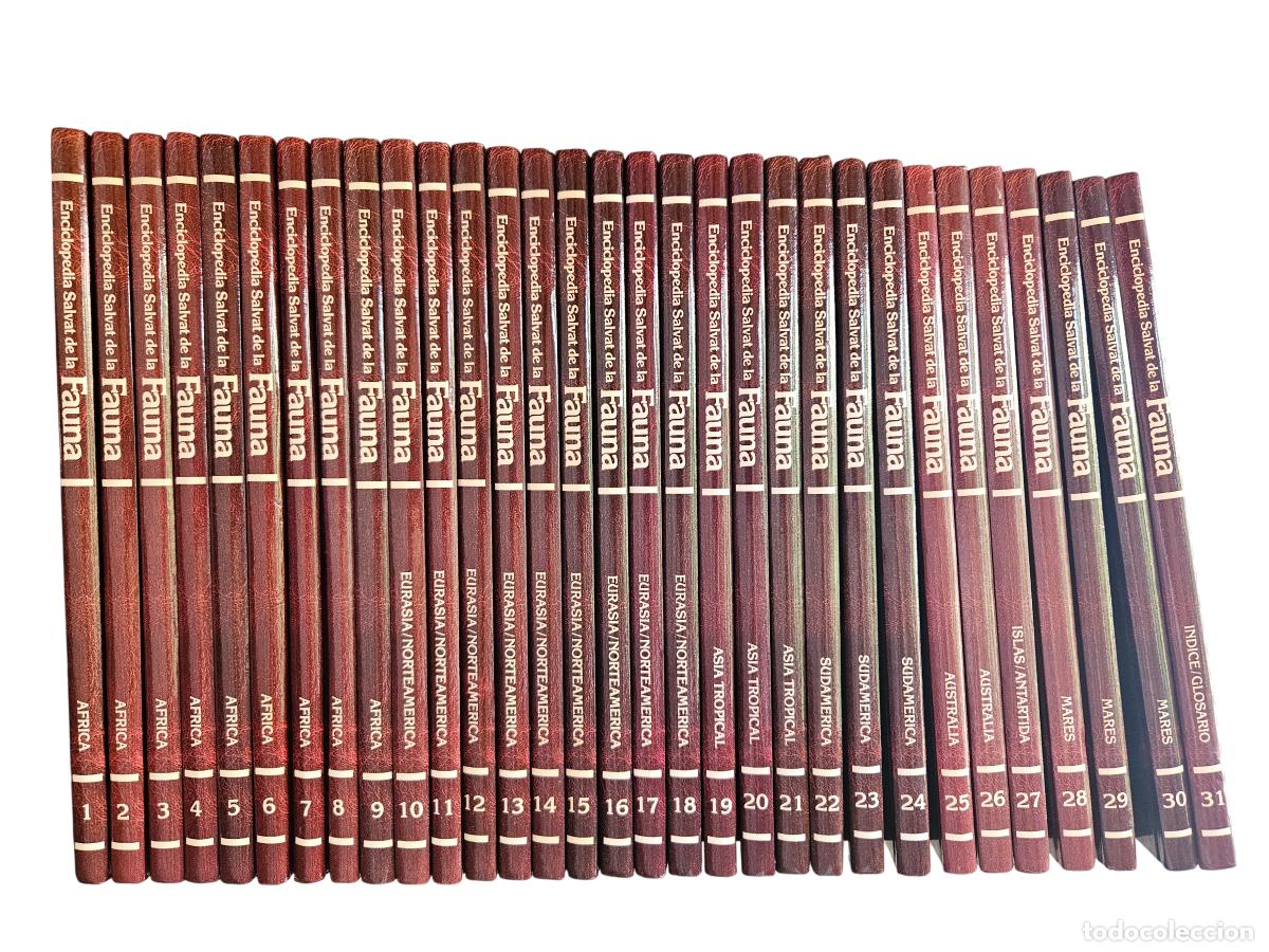 Enciclopedias de segunda mano: Enciclopedia Salvat de la Fauna completa &ndash; 31 tomos &ndash; F&eacute;lix Rodr&iacute;guez de la Fuente