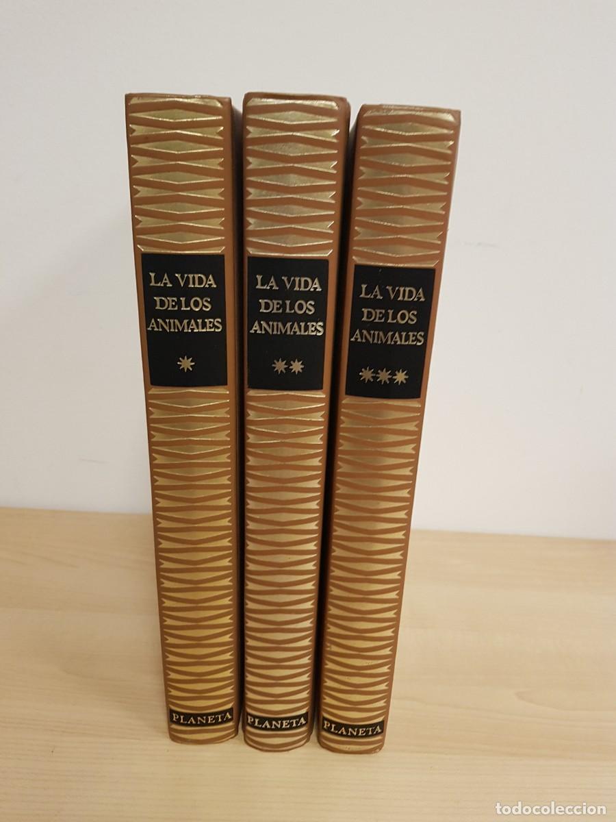 Enciclopedias de segunda mano: La Vida de Los Animales Editorial Planeta Libreria Larousse Primera Ed Espa&ntilde;ola 1970
