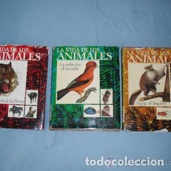 Enciclopedias de segunda mano: La Vida de los Animales 3 Tomos Planeta 1975 Poster Ilustrado PEIFER