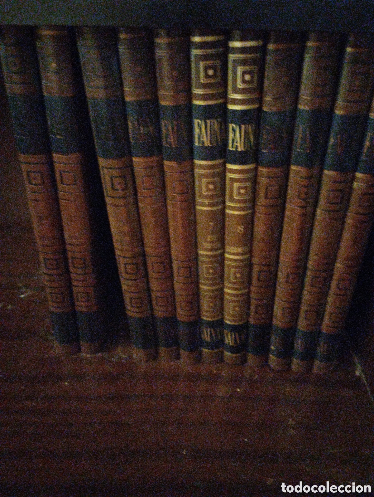 Enciclopedias de segunda mano: Enciclopedia Feliz Rodr&iacute;guez de la Fuente