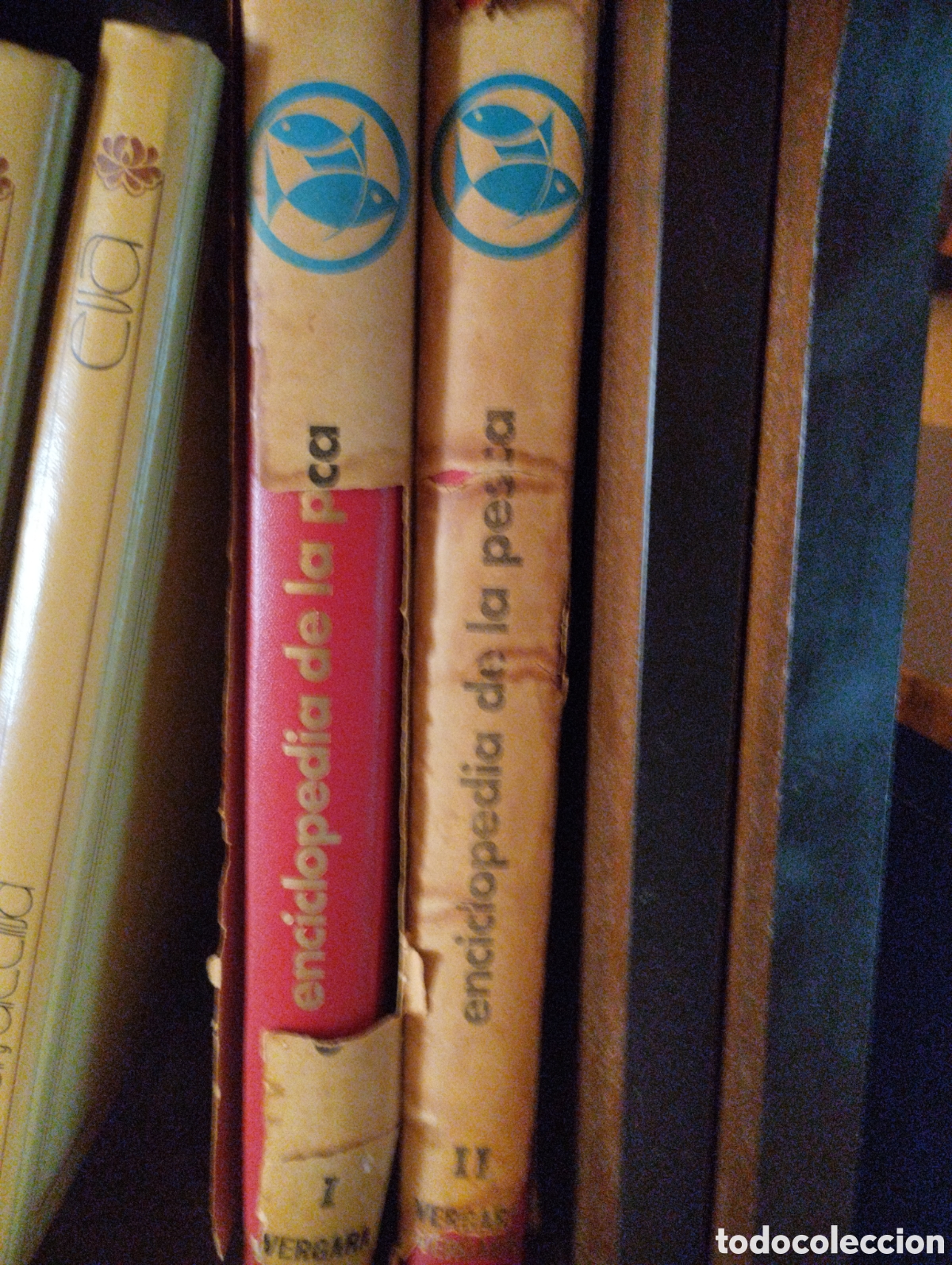 Enciclopedias de segunda mano: Enciclopedia de la Pesca - Foto 6