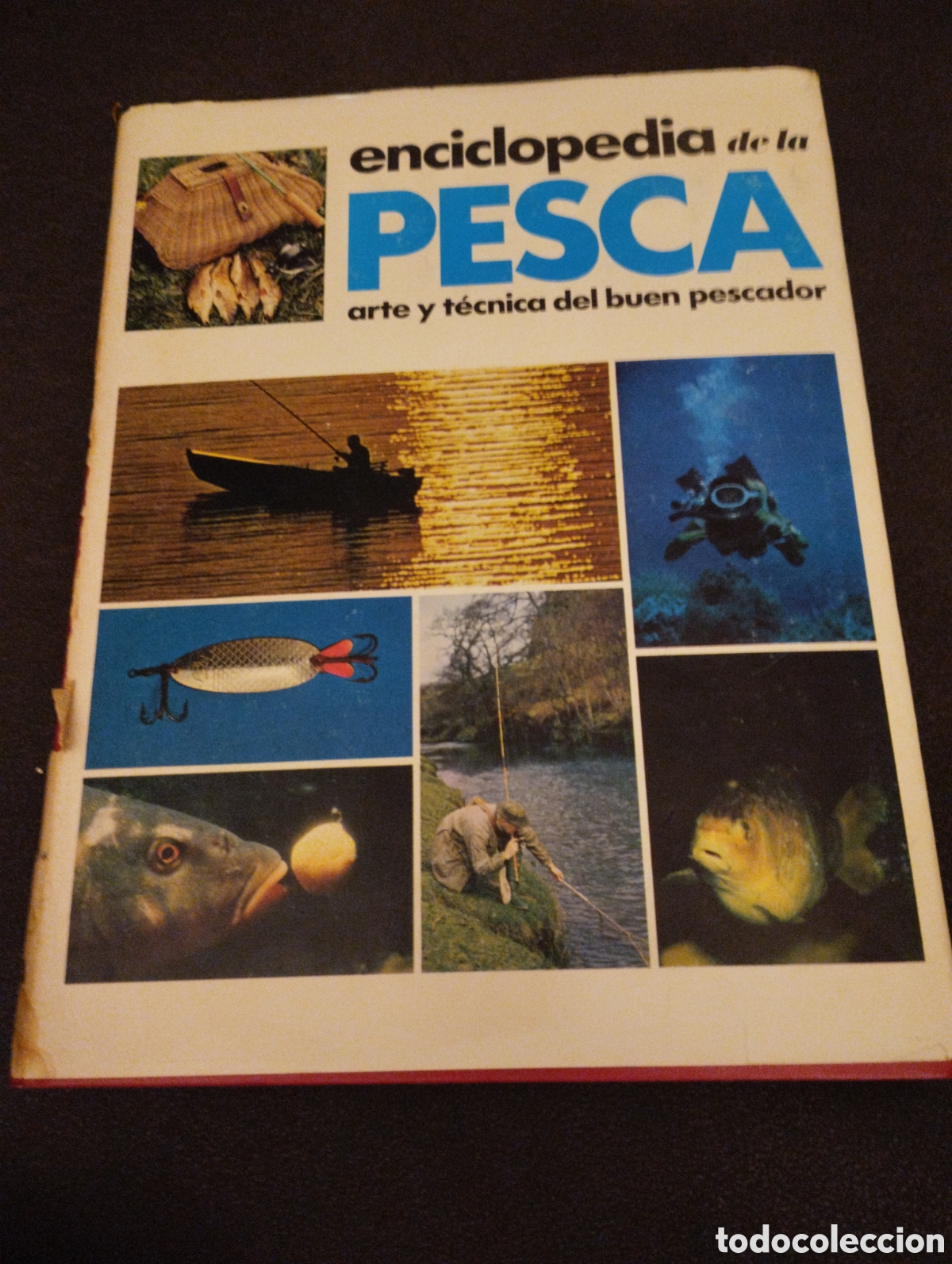 Enciclopedias de segunda mano: Enciclopedia de la Pesca - Foto 1