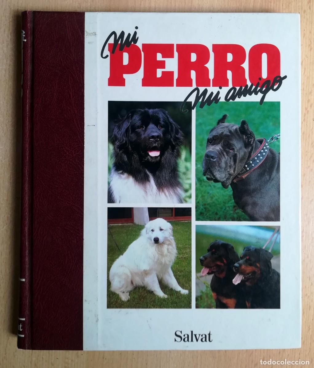 Enciclopedias de segunda mano: Mi perro, mi amigo. Tomo 4. Salvat 1990