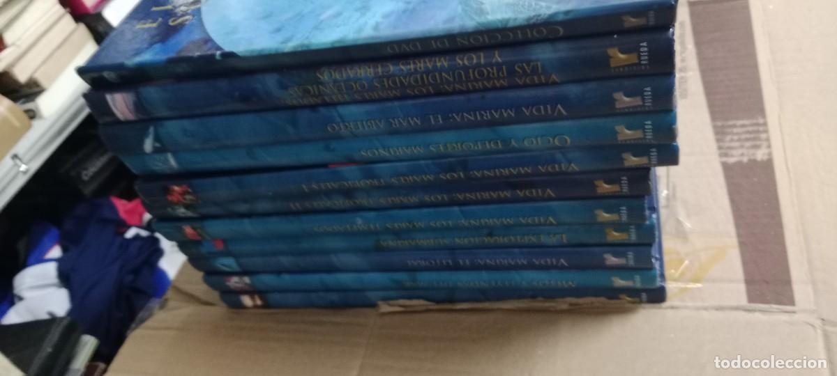Enciclopedias de segunda mano: LOTE DE 10 LIBROS Y UN ESTUCHE CON DVD LOS DE FOTO EL MUNDO SUBMARINO RUEDA TOP