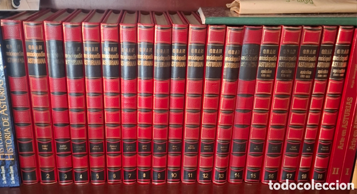 Enciclopedias de segunda mano: Gran enciclopedia Asturiana