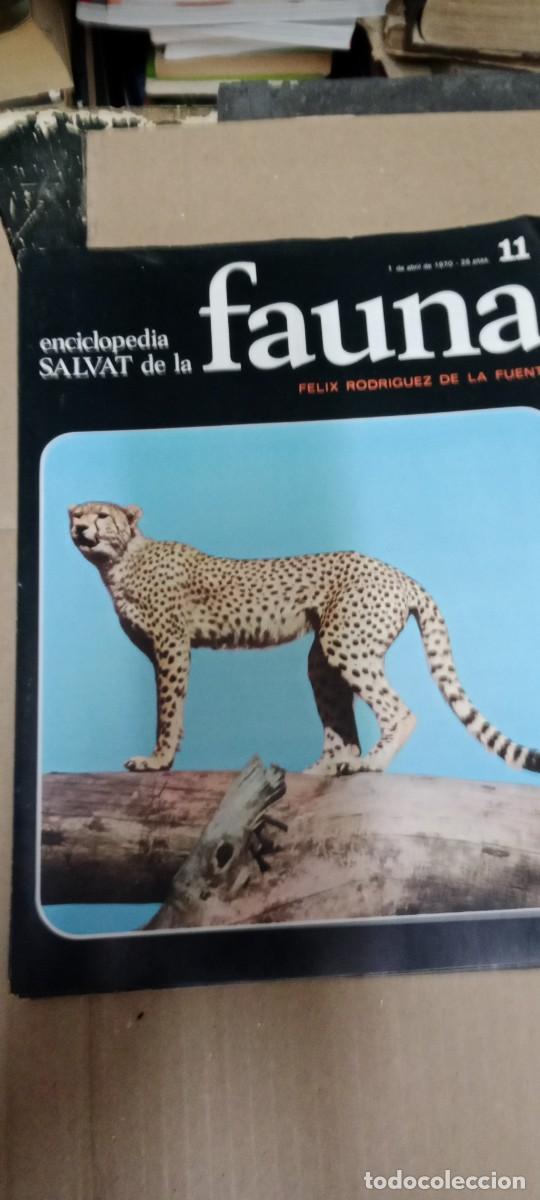 Enciclopedias de segunda mano: LOTE DE 22 CUBIERTAS SIN LA REVISTA DE ENCICLOPEDIA SALVAT FAUNA LAS DE FOTO CU-08