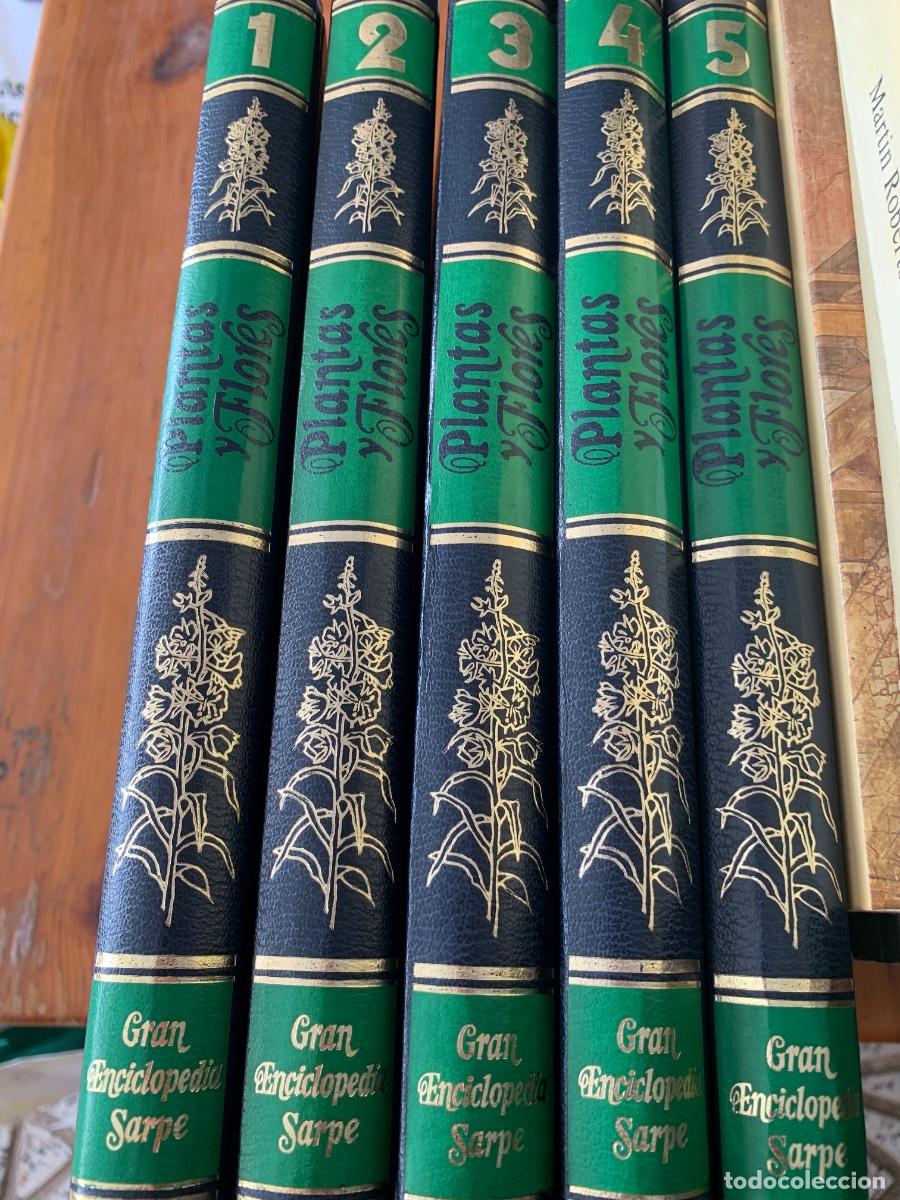 Enciclopedias de segunda mano: Enciclopedia Plantas y Flores