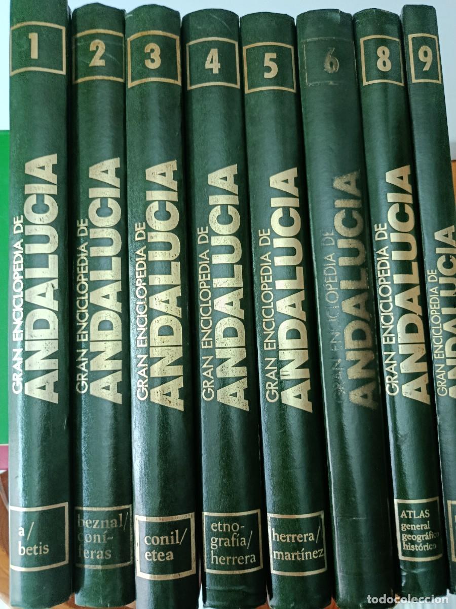 Enciclopedias de segunda mano: GRAN ENCICLOPEDIA DE ANDALUCIA 8 TOMOS LE FALTA UNO