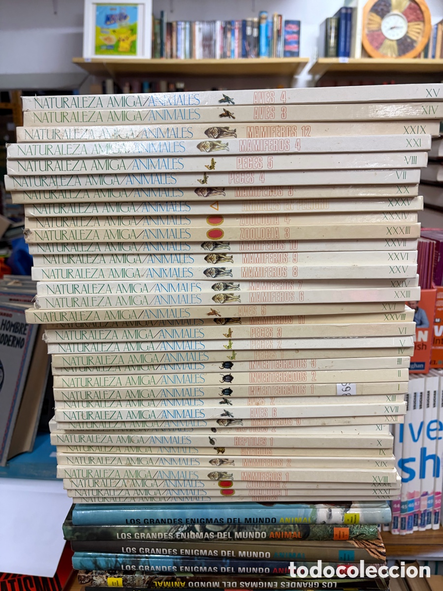 Enciclopedias de segunda mano: Colecci&oacute;n Naturaleza amiga. Animales. 34 tomos. Preciosas ilustraciones.