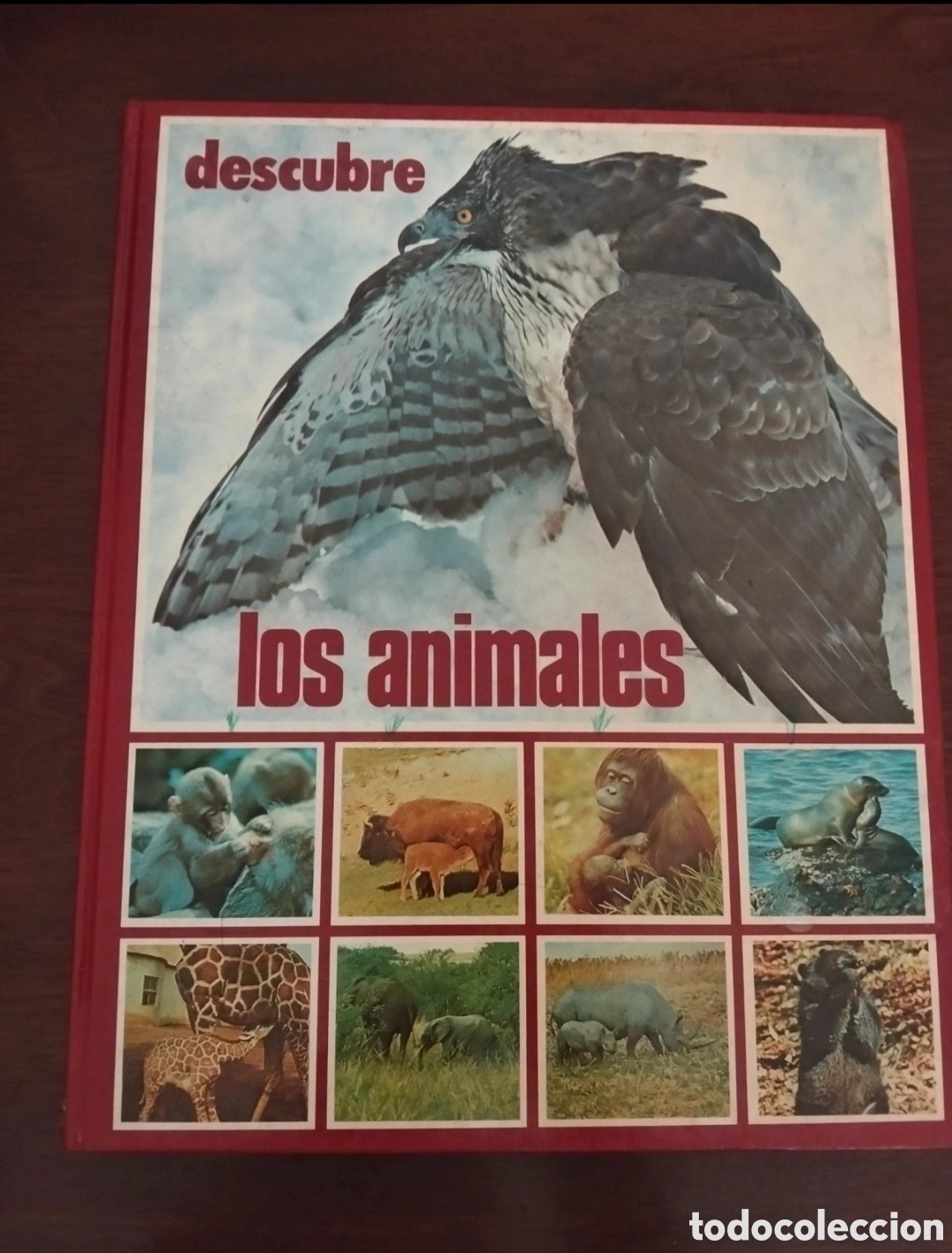 Enciclopedias de segunda mano: Enciclopedia &rdquo;Descubre los animales&rdquo;