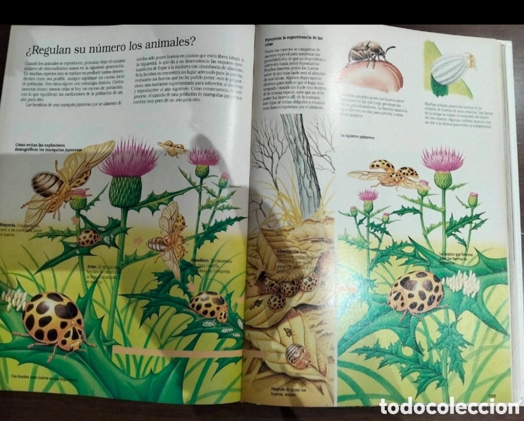 Enciclopedias de segunda mano: Enciclopedia ilustrada - Foto 2