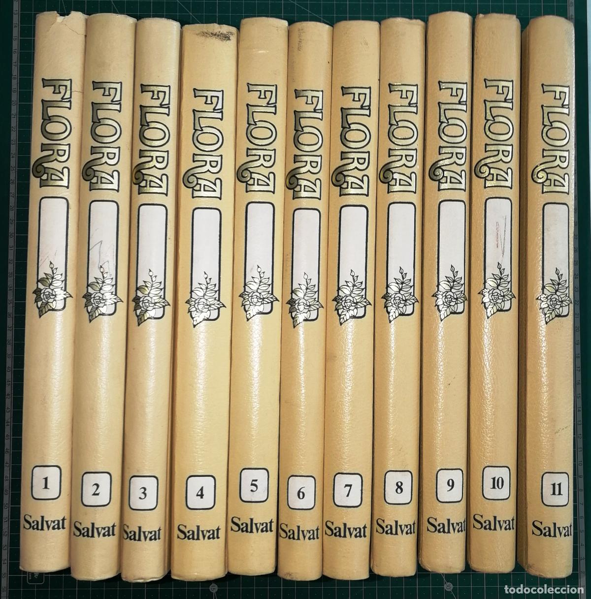 Enciclopedias de segunda mano: FLORA : ENCICLOPEDIA SALVAT DE LA JARDINER&Iacute;A (11 VOL.). - Salvat, 1977-1980. - FALTA TOMO 12