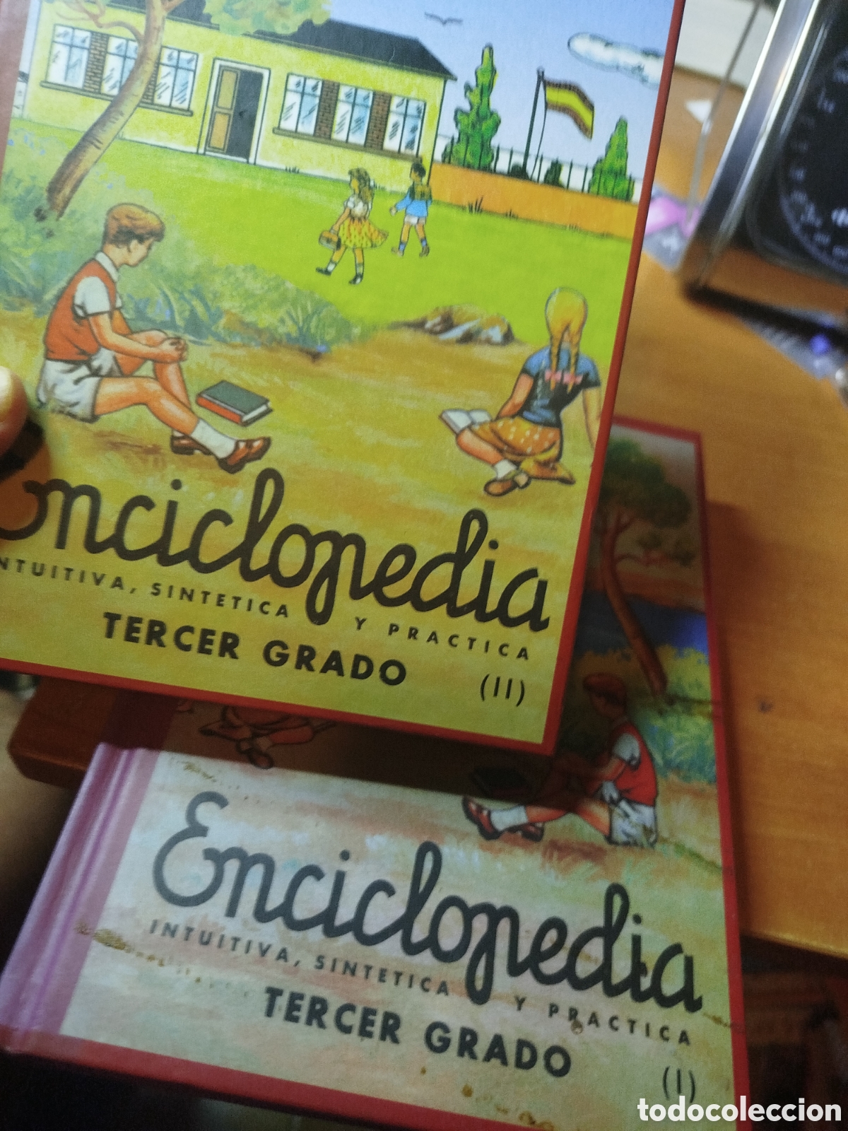 Enciclopedias de segunda mano: Enciclopedia intuitiva sint&eacute;tica y pr&aacute;ctica tercer grado. &Aacute;lvarez. Dos tomos
