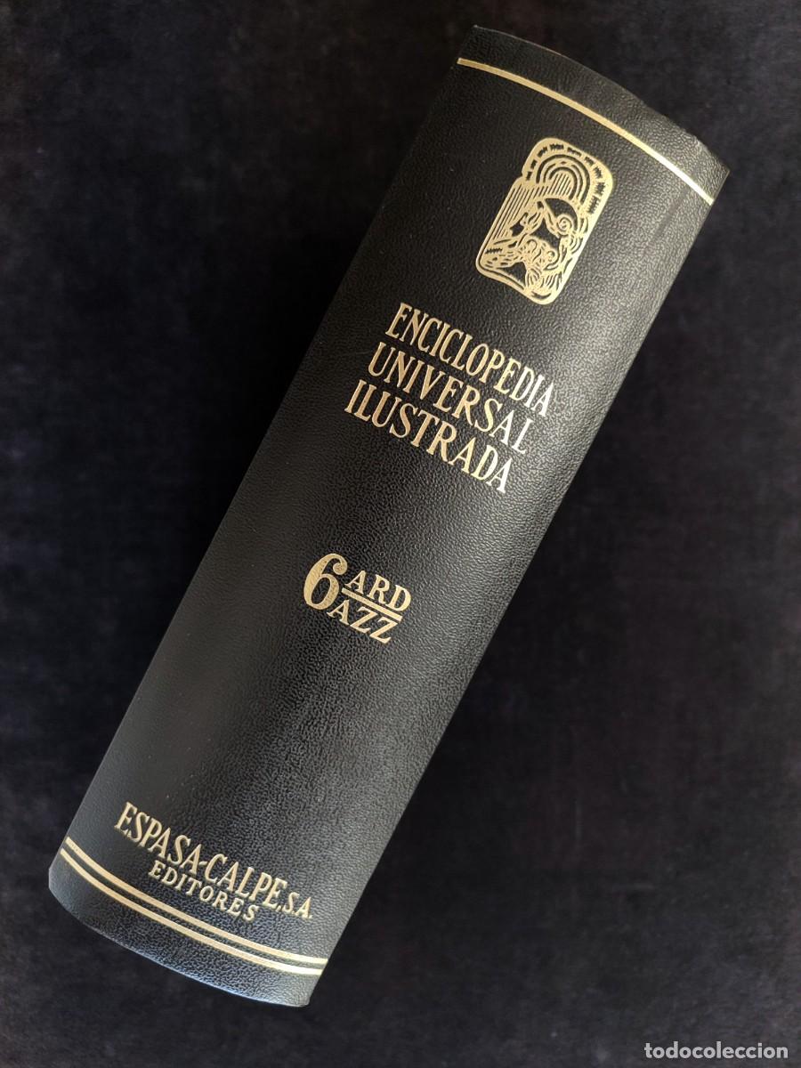 Enciclopedias de segunda mano: ENCICLOPEDIA UNIVERSAL ILUSTRADA EUROPEA AMERICANA. TOMO 6. ESPASA CALPE, 1995