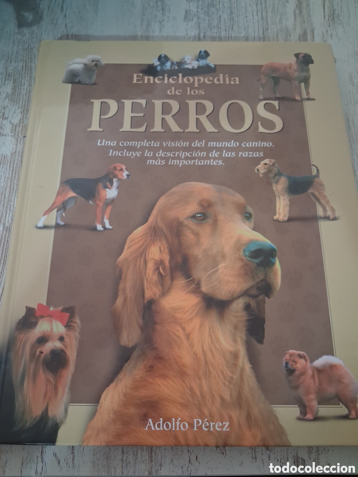 Second hand encyclopedias: Enciclopedia de los perros. Adolfo Perez