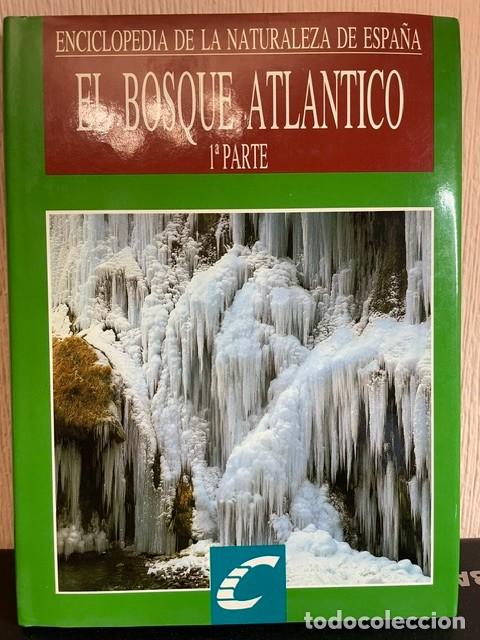 Enciclopedias de segunda mano: Enciclopedia de la naturaleza de Espa&ntilde;a. El bosque atl&aacute;ntico. Dos tomos