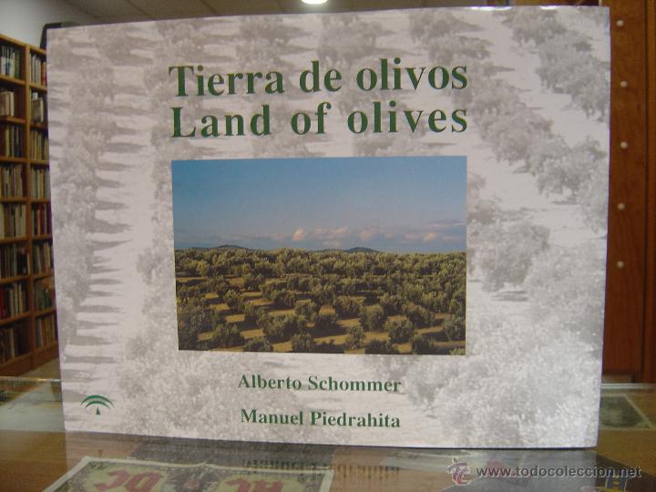 Libros de segunda mano: TIERRA DE OLIVOS - Foto 1