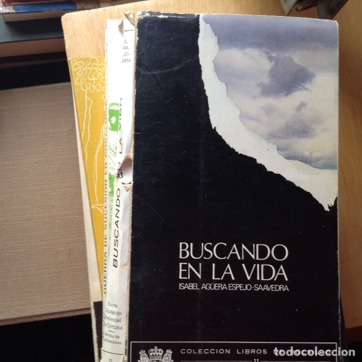 Libros de segunda mano: Buscando en la vida. Isabel Ag&uuml;era - Foto 1