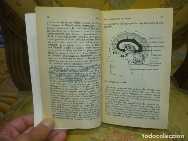 Libros de segunda mano: LOS MANIPULADORES DEL CEREBRO, DE MAYA PINES. - Foto 6