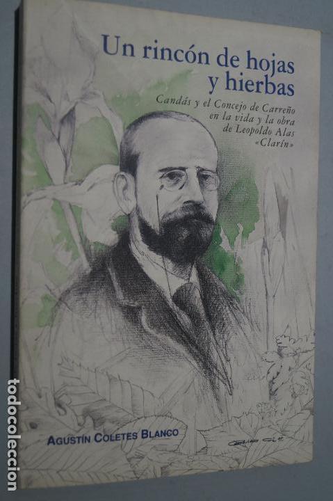 Libros de segunda mano: UN RINCON DE HOJAS Y HIERBAS. CAND&Aacute;S Y CONCEJO CARRE&Ntilde;O EN LA VIDA Y OBRA DE CLARIN. AGUSTIN COLETES.