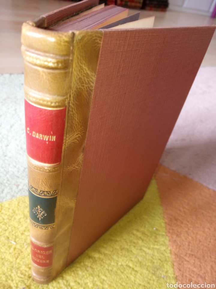 Libros de segunda mano: El origen del hombre. Darwin - Foto 1