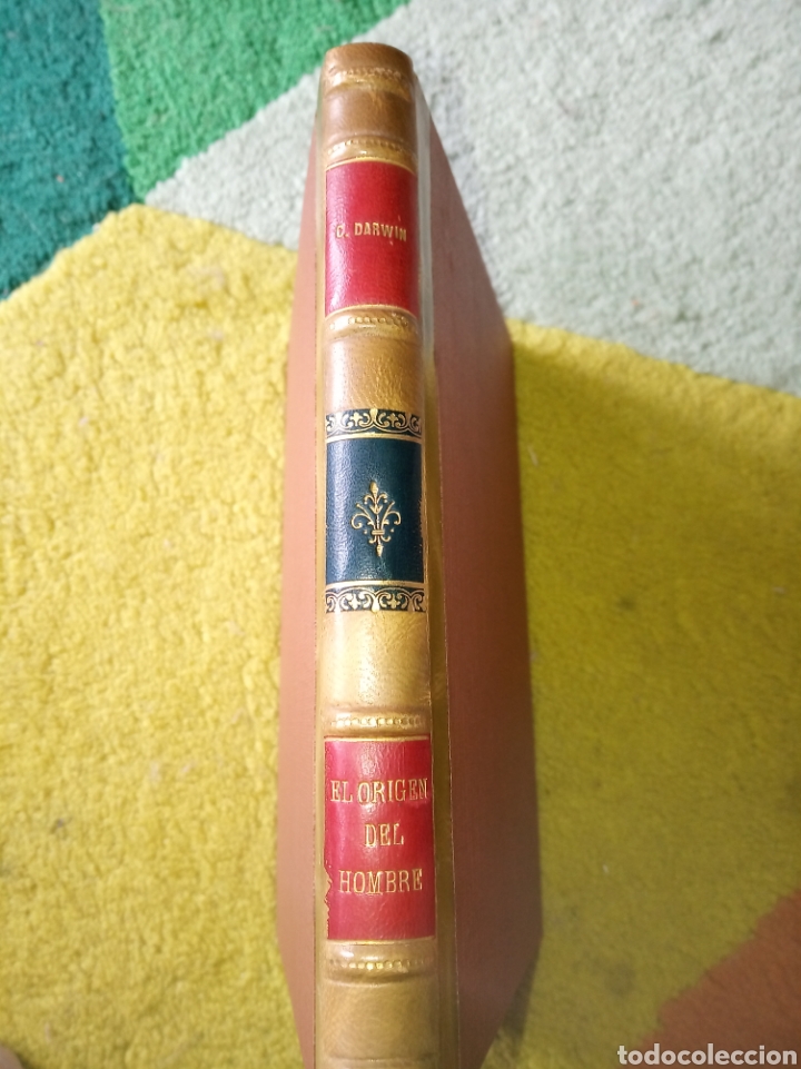 Libros de segunda mano: El origen del hombre. Darwin - Foto 2