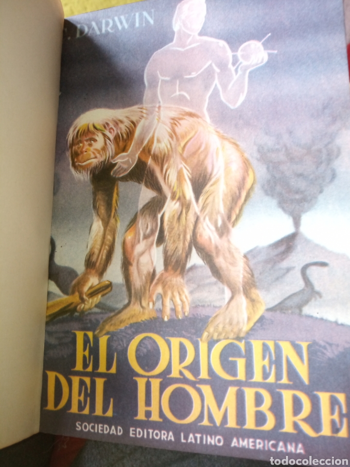 Libros de segunda mano: El origen del hombre. Darwin - Foto 5