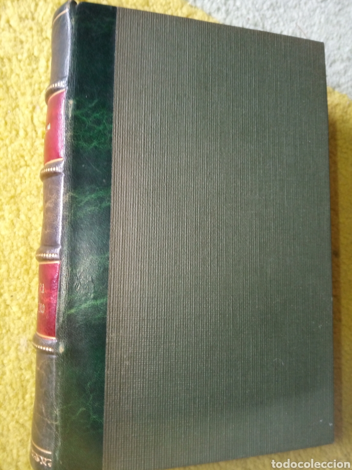 Libros de segunda mano: La suegra de Tarquino. Joaqu&iacute;n Belda - Foto 2