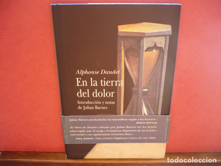 Libros de segunda mano: En la Tierra del Dolor. Alphonse Daudet. Editorial, Alba 2003. - Foto 2