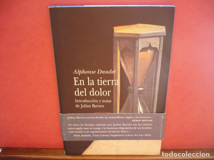 Libros de segunda mano: En la Tierra del Dolor. Alphonse Daudet. Editorial, Alba 2003. - Foto 6