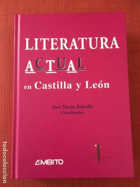 Libros de segunda mano: Literatura actual en Castilla y Le&oacute;n &ndash; J. M. Balcells (coord.)