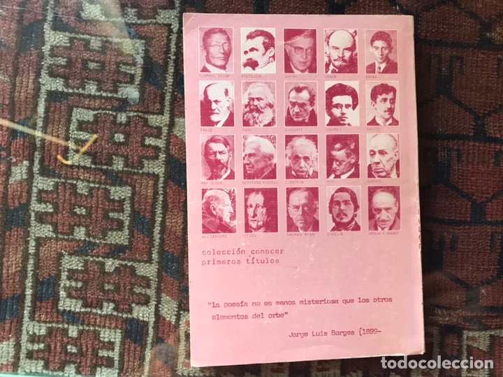 Libros de segunda mano: Conocer Borges y su obra. Marcos Ricardo Barnat&aacute;n - Foto 2